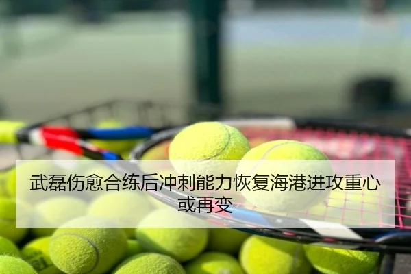 武磊伤愈合练后冲刺能力恢复海港进攻重心或再变