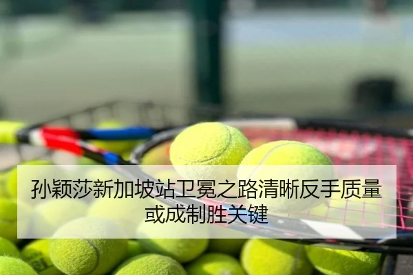 孙颖莎新加坡站卫冕之路清晰反手质量或成制胜关键